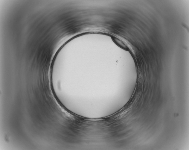 X0000095901343200802081131