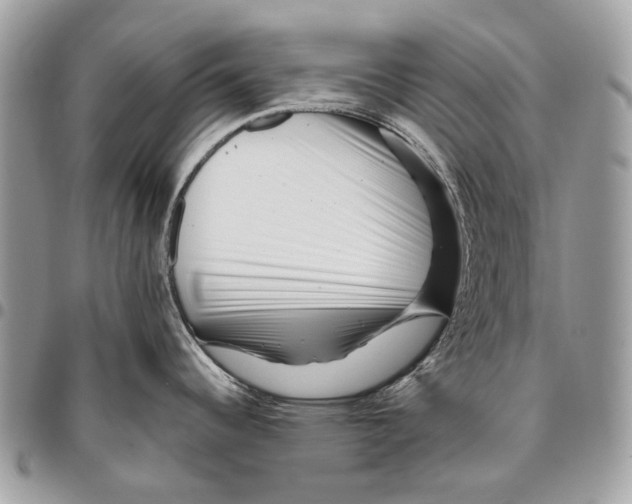 X0000095901344200802081131