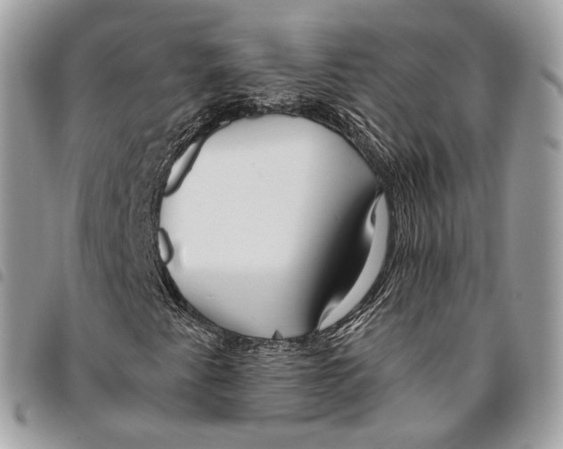 X0000095901345200802081131