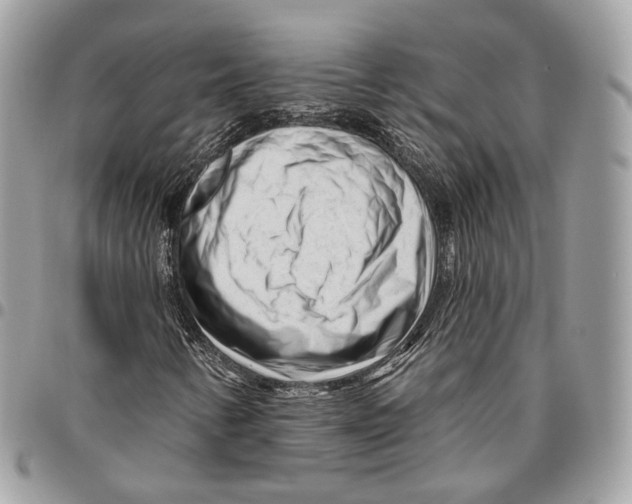 X0000095901346200802081131