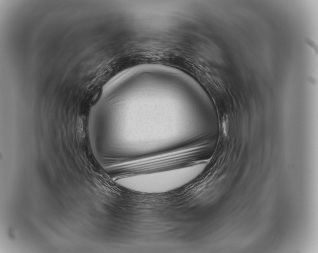 X0000095901347200802081131