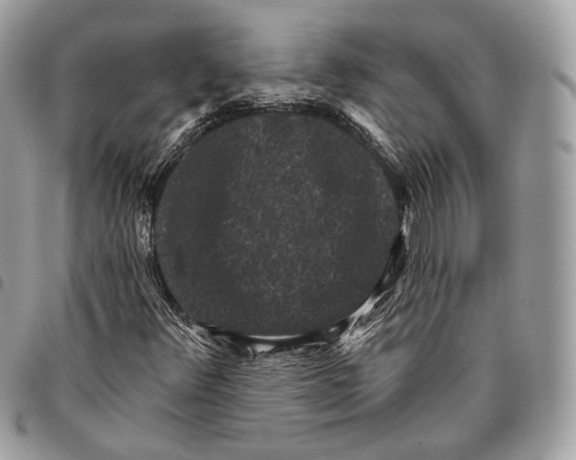 X0000095901348200802081131