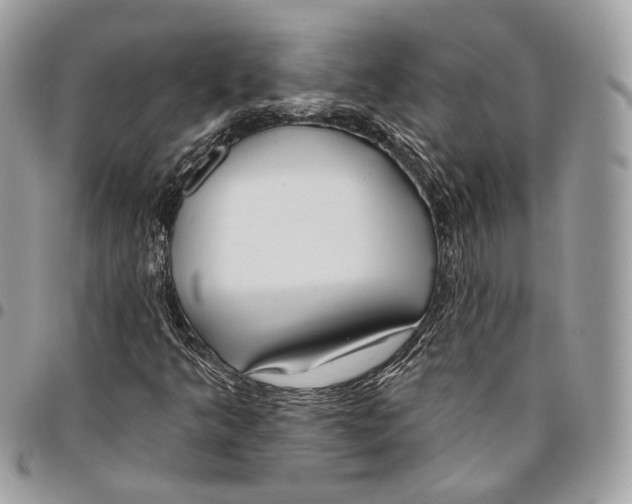 X0000095901349200802081131