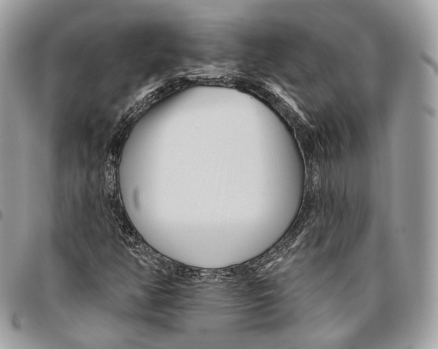 X0000095901350200802081131