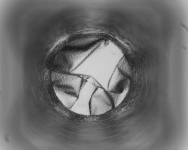 X0000095901351200802081131