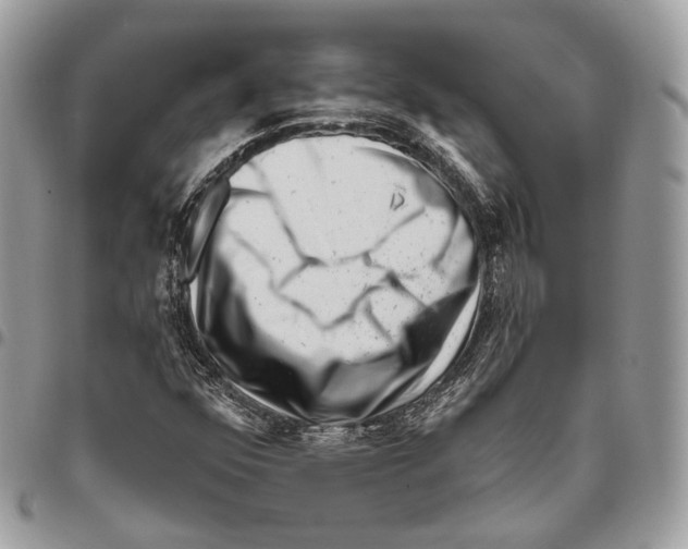 X0000095901352200802081131