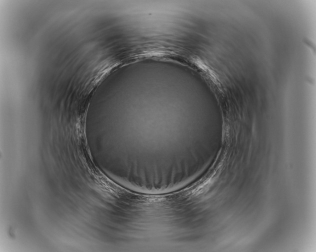 X0000095901353200802081130