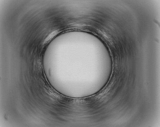 X0000095901354200802081130