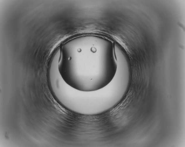 X0000095901356200802081130