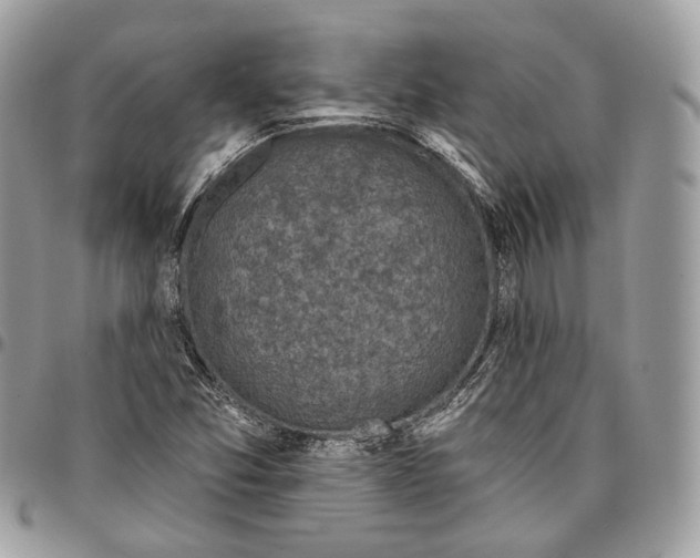 X0000095901357200802081130