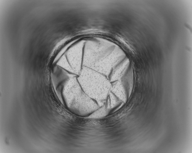 X0000095901358200802081130