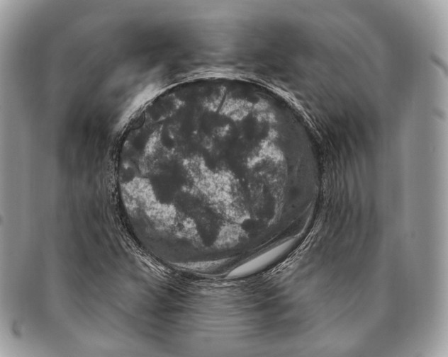 X0000095901359200802081130