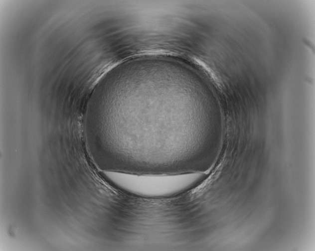 X0000095901361200802081130