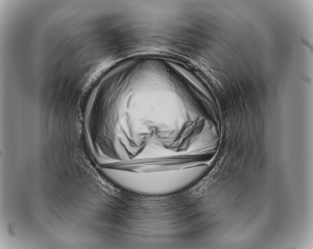 X0000095901363200802081130