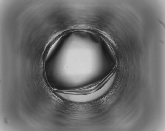 X0000095901364200802081130