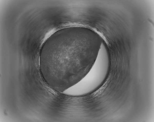 X0000095901365200802081130