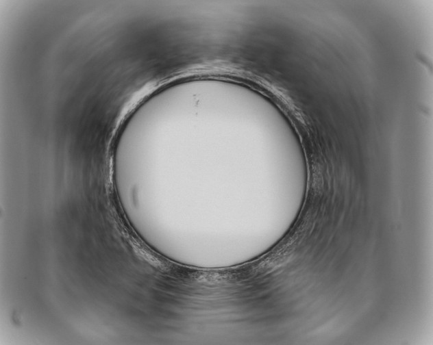 X0000095901366200802081130