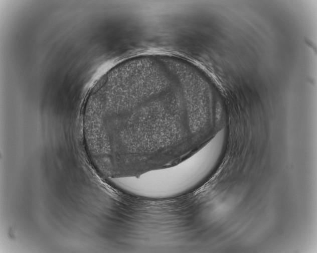 X0000095901367200802081130