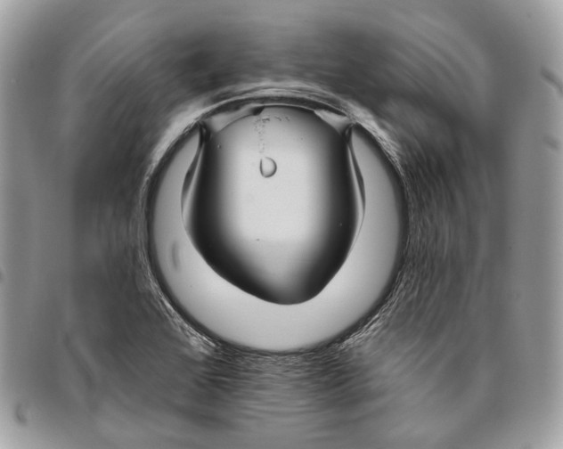 X0000095901368200802081130