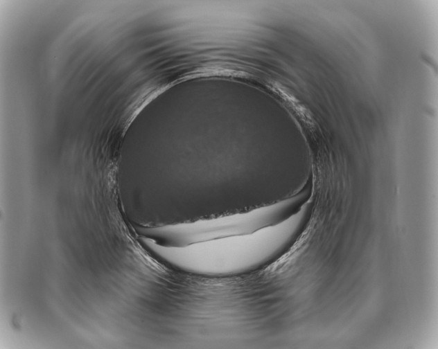 X0000095901369200802081130