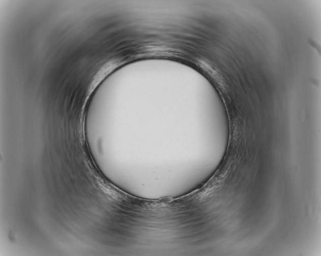 X0000095901370200802081130