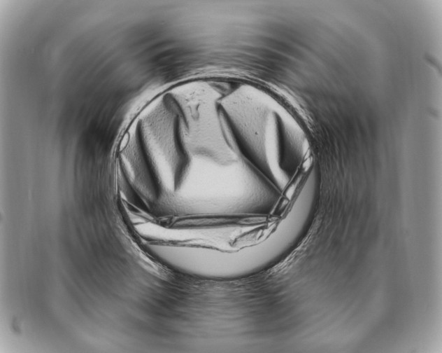 X0000095901371200802081130