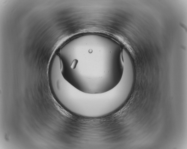 X0000095901372200802081130