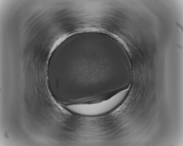 X0000095901373200802081130