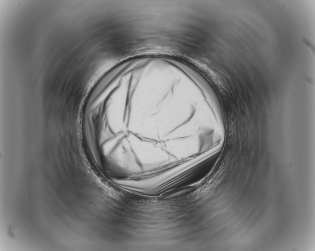 X0000095901375200802081130