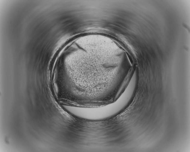 X0000095901376200802081130