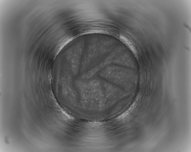 X0000095901377200802081130