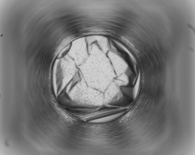 X0000095901378200802081130