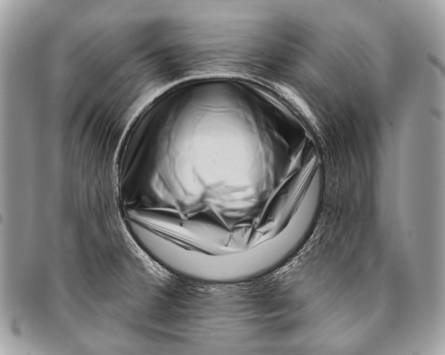 X0000095901380200802081130