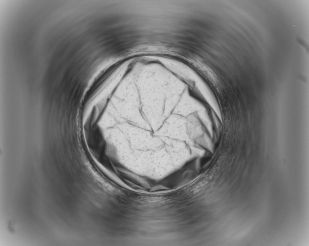 X0000095901382200802081130