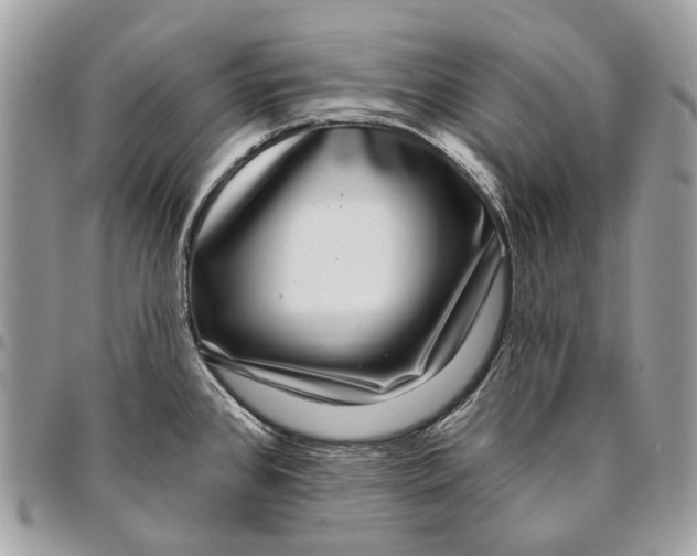 X0000095901384200802081130