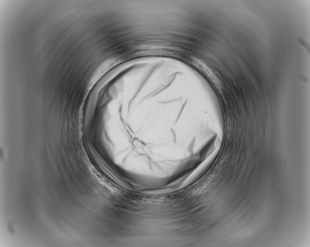 X0000095901386200802081130