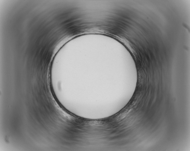 X0000095901387200802081130