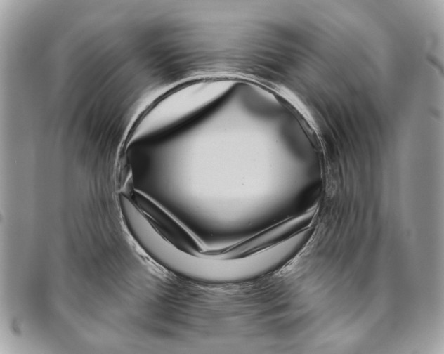 X0000095901388200802081130