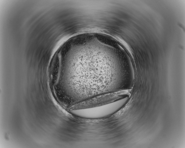 X0000095901389200802081130