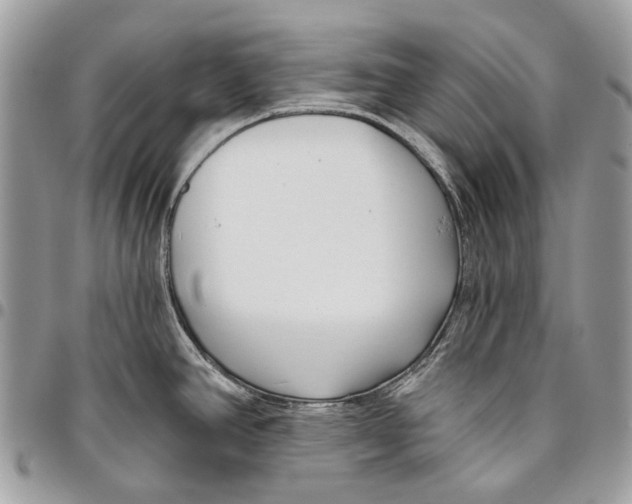 X0000095901390200802081130