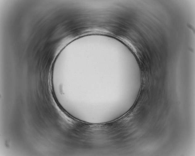 X0000095901391200802081130