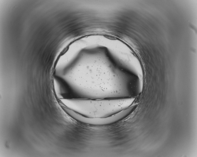 X0000095901392200802081130