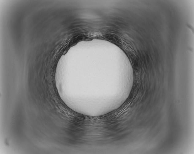 X0000095901393200802081129