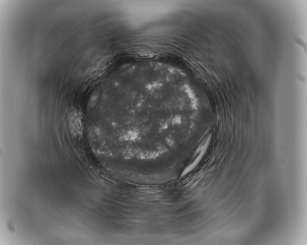 X0000095901394200802081129