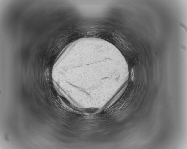 X0000095901395200802081129