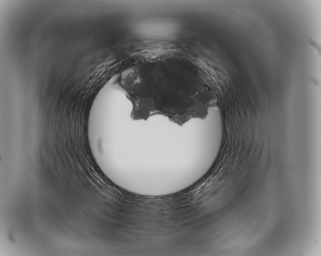 X0000095901396200802081129