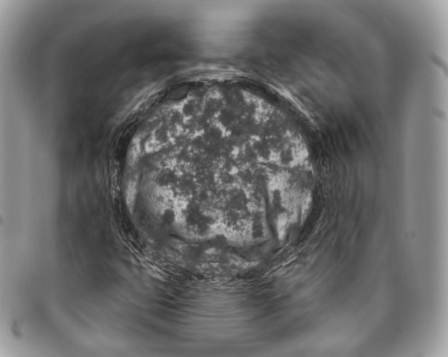 X0000095901399200802081129