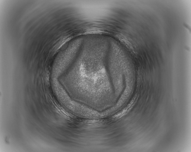 X0000095901401200802081129