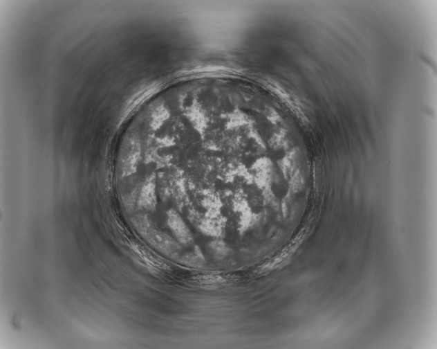 X0000095901405200802081129