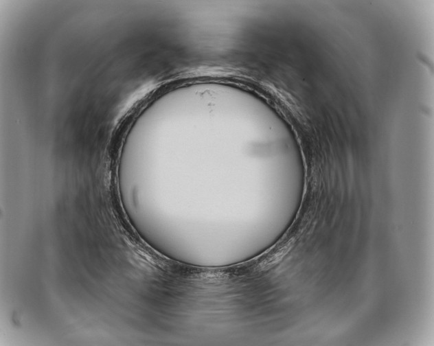 X0000095901406200802081129